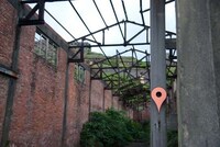 Search Engine-Marked Avian Homes Image 7