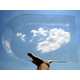 Conceptual Cloud Art Image 2