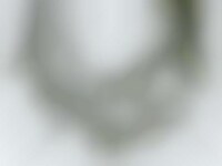 Layered Foliage Jewelry Image 1