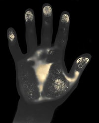 Film Emulsion Body Prints Image 2