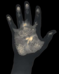 Film Emulsion Body Prints Image 3
