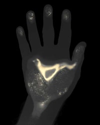 Film Emulsion Body Prints Image 7