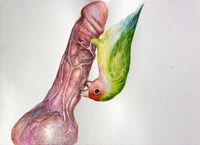 Phallic Fowl Paintings Image 2