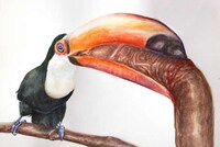 Phallic Fowl Paintings Image 3
