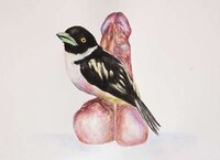 Phallic Fowl Paintings Image 4