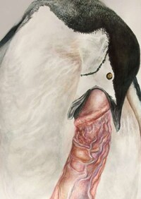 Phallic Fowl Paintings Image 5