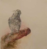 Phallic Fowl Paintings Image 6