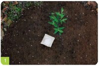 Cremation Planting Vessels Image 2