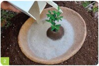 Cremation Planting Vessels Image 3