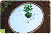 Cremation Planting Vessels Image 4