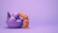 Candy Rabbit Destruction Videos Image 2