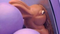 Candy Rabbit Destruction Videos Image 4