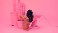 Candy Rabbit Destruction Videos Image 5