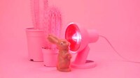 Candy Rabbit Destruction Videos Image 6