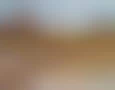 Patchwork Pixelated Imagery : Diane Meyer Embroidered Photography