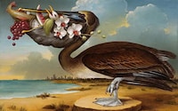Allegorical Animal Portraits Image 8