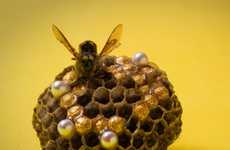 Intricate Beehive Jewelry