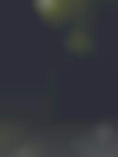 Spinning Perspective Ads