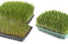 Sustainably Sweet Wheatgrass