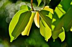 Women-Focused Eco Programs