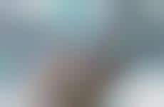 Dotcom Skating Trips: Trend Hunter Fun Day