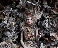 Magically Enchanted Photography Image 2