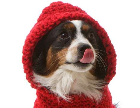 Knitted Pooch Capelets