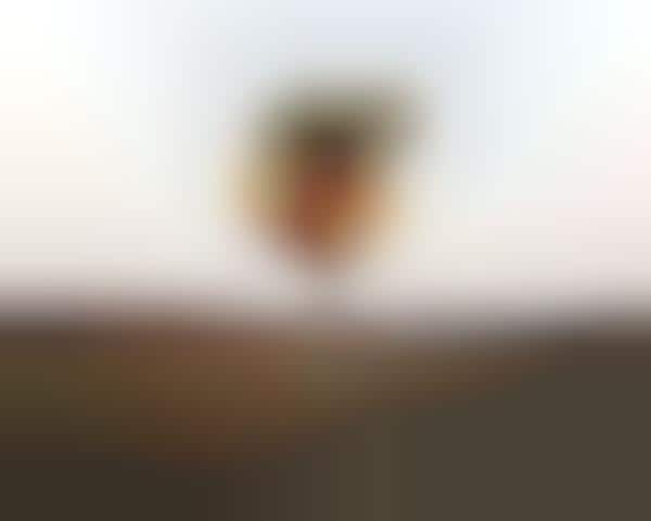 Misplaced Materials Photography