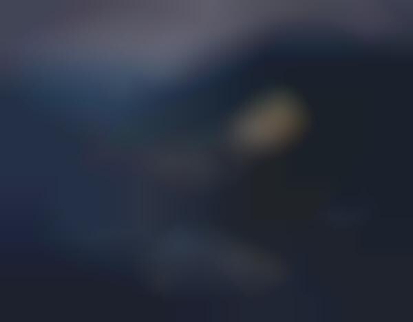 Fallen Crescent Captures (UPDATE)