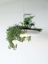 Lush Disc-Like Lighting Image 2