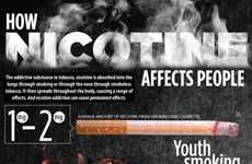 Negative Nicotine Effects Infographics