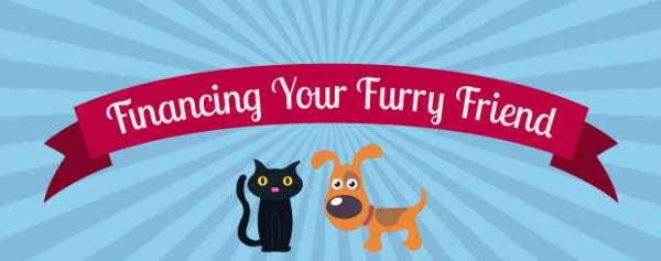 15 Pet Care Tip Charts
