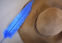 DIY Feather Accented Hats Image 2