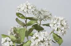 Realistic Blossom Sculptures