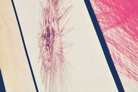 Musical Instrument Fabrics Image 3