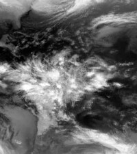 X-Ray Landscape Animations Image 2