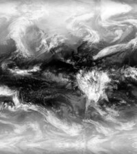 X-Ray Landscape Animations Image 3