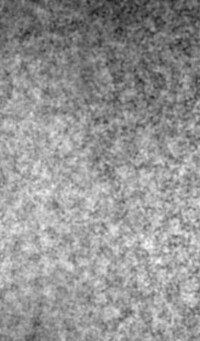 X-Ray Landscape Animations Image 4