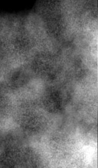 X-Ray Landscape Animations Image 5