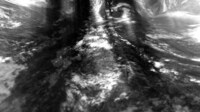 X-Ray Landscape Animations Image 7