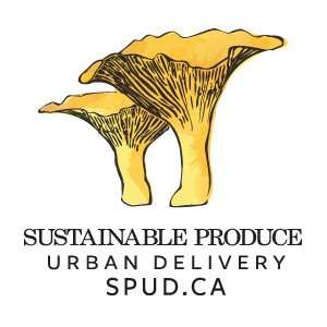 20 Delivery-Based Social Businesses