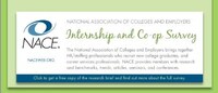 Internship-Deciding Infographics Image 4
