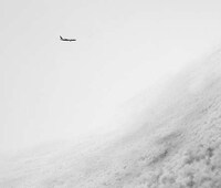 Abstract Airplaine Artwork Image 7