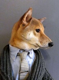 Dapper Canine Fashion Blogs Image 3