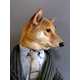 Dapper Canine Fashion Blogs Image 3