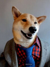 Dapper Canine Fashion Blogs Image 4