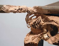 Carved Skeletal Creatures Image 3