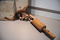 Carved Skeletal Creatures Image 8