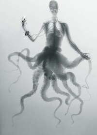 Anatomical Animal Amalgamations