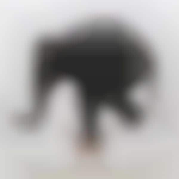 Artist-Trampling Elephants